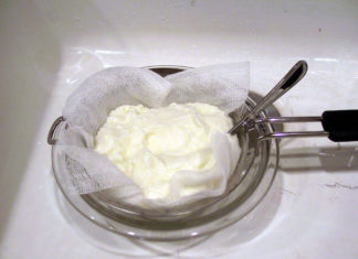 Το Γιαούρτι Μου