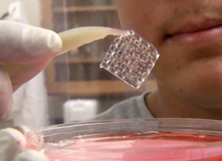 Εφτιαξαν βιοπροσθετικές ωοθήκες από… 3D εκτυπωτή!