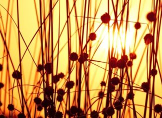 Άρχισε και επίσημα το φετινό καλοκαίρι