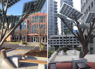 Βγάζουν «ρίζες» τα πρώτα… e-δέντρα!