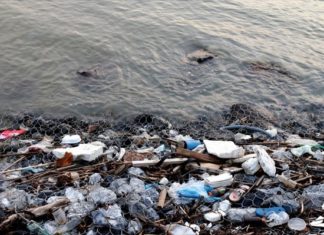 Έως και 2,4 εκατομμύρια τόνοι πλαστικών καταλήγουν στους ωκεανούς από τα ποτάμια κάθε χρόνο