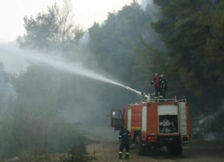 ΦΩΤΙΑ ΣΕ ΑΓΡΟΤΟΔΑΣΙΚΗ ΕΚΤΑΣΗ ΣΤΗΝ ΗΛΕΙΑ