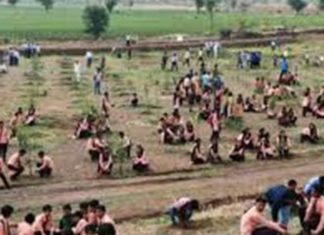 Ινδία: Παγκόσμιο ρεκόρ δενδροφύτευσης – 66 εκατομμύρια δένδρα σε 12 ώρες