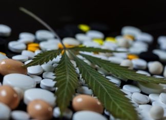 Ανοίγει ο δρόμος για τα φαρμακευτικά σκευάσματα κάνναβης