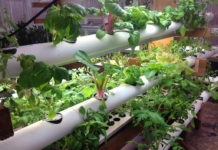 General Hydroponics