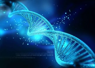 Νέα διλήμματα από επαναστατική τεχνική διόρθωσης γονιδίων σε ανθρώπινα έμβρυα