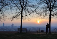 Η φύτευση δέντρων μπορεί να εξοικονομήσει εκατοντάδες εκατομμύρια ετησίως στις μεγαλουπόλεις