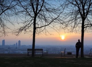 Η φύτευση δέντρων μπορεί να εξοικονομήσει εκατοντάδες εκατομμύρια ετησίως στις μεγαλουπόλεις