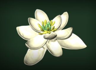 Πριν από 140 εκατ. χρόνια άνθισε το πρώτο λουλούδι του κόσμου