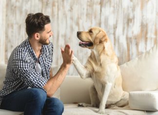Πότε έγινε ο σκύλος ο καλύτερος φίλος του ανθρώπου;