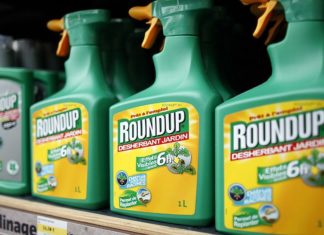 Γαλλία: Ανιχνεύτηκε τοξική ουσία σε όσπρια, ζυμαρικά και δημητριακά