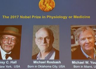 Σε τρεις ερευνητές το φετινό βραβείο Νόμπελ Ιατρικής