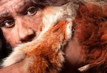 Ο Νέαντερνταλ υπεύθυνος για το λίπος στην κοιλιά σας;