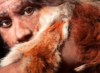 Ο Νέαντερνταλ υπεύθυνος για το λίπος στην κοιλιά σας;