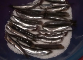 Φτιάξε εύκολα στο σπίτι αντζούγιες