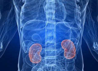 Με απονεύρωση του νεφρού επετεύχθη μείωση της αρτηριακής πίεσης