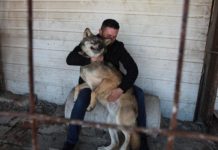 Κόσοβο: Ονόμασε τον λύκο του «Τραμπ»