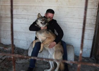 Κόσοβο: Ονόμασε τον λύκο του «Τραμπ»