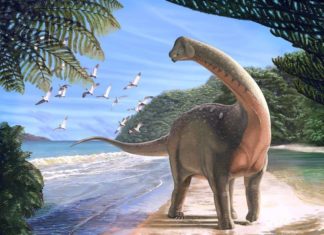 Βρήκαν απολίθωμα δεινοσαύρου – Ηταν μεγάλος όσο ένα… λεωφορείο!