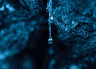 Ελλάδα και μαστίχα Χίου πρωταγωνιστούν στην νέα καμπάνια της Chanel