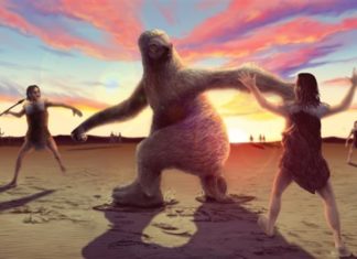 Υπήρχαν κάποτε γιγάντιοι βραδύποδες