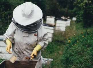 Προστασία των μελισσών από τα φυτοφάρμακα