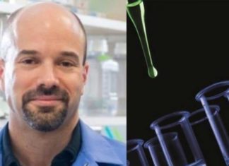 Έλληνας επιστήμονας βρήκε τον τρόπο να «μετατρέπει» τα κακοήθη κύτταρα σε καλοήθη