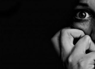 Η θεωρία της διαχείρισης της κατσαρίδας..