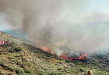 Μεγάλη φωτιά στη Ζάκυνθο – Πολλές οι εστίες