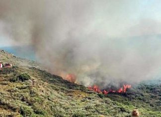 Μεγάλη φωτιά στη Ζάκυνθο – Πολλές οι εστίες