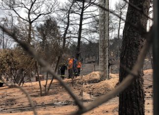 Άλλος ένας νεκρός βρέθηκε στο οικόπεδο της φρίκης στο Μάτι: 84 τα θύματα