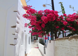 Τήνος: Η μητέρα της μαρμαροτεχνίας και οι κρυμμένοι θησαυροί της! γράφει Θάλεια