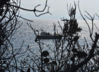 “Ήταν ένα κοριτσάκι νεκρό στα βράχια, ένα παιδάκι μόνο του” – Ρίγη προκαλεί η μαρτυρία του αστυνομικού της ομάδας ΔΙΑΣ