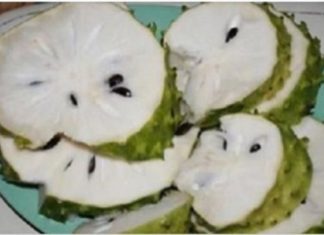 Είναι 100 φορές Δυνατότερο από την Χημειοθεραπεία και Σκοτώνει 12 Τύπους Καρκινικών Κυττάρων