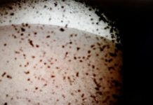 Ιστορική στιγμή: Η πρώτη εικόνα που έστειλε το InSight από τον πλανήτη Αρη