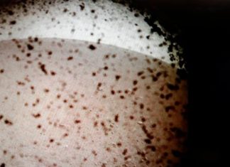 Ιστορική στιγμή: Η πρώτη εικόνα που έστειλε το InSight από τον πλανήτη Αρη